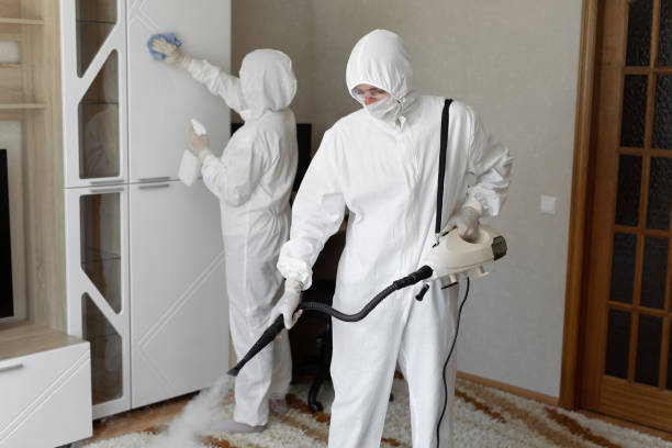 24/7 Emergency Odor Removal experts in Auburn, ME